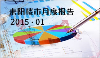 耒阳房产网 2015年01月耒阳楼市月度报告