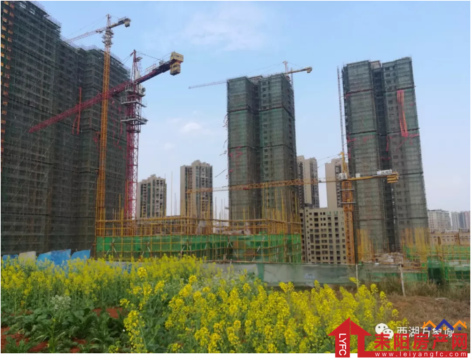 微信截图_20180305135619.png