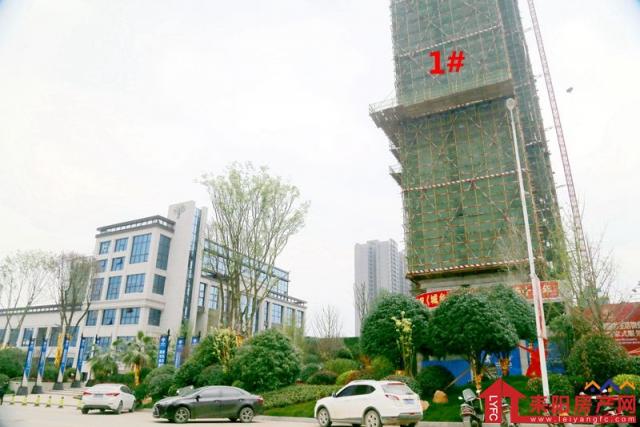 IMG_8536_副本.jpg