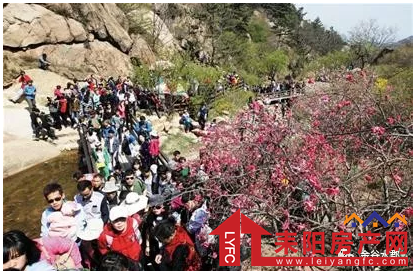 微信截图_20180413172838.png