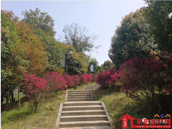 微信截图_20180413172858.png