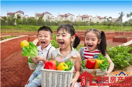 微信截图_20180413180832.png