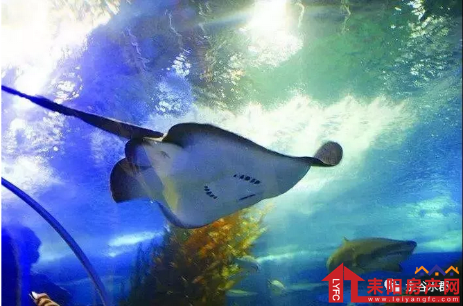 微信截图_20180417115117.png
