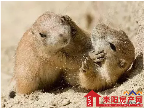 微信截图_20180417115234.png
