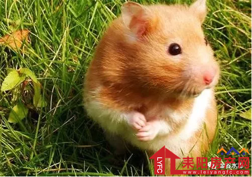 微信截图_20180417115246.png