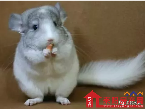 微信截图_20180417115304.png