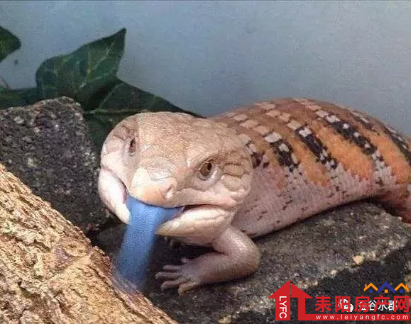 微信截图_20180417115326.png