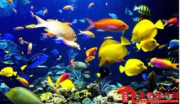 微信截图_20180507114544.png