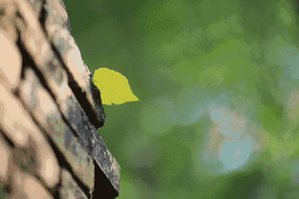 640.gif