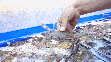 640 (2).gif