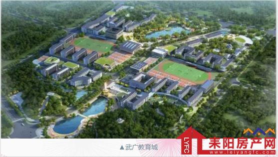 微信截图_20190308093547.png