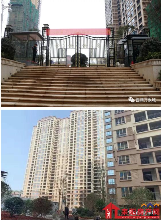 12155813cf43d1ae629879.png 微信截图_20190312154204.png