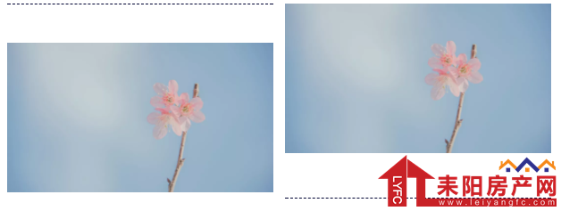 微信截图_20190402164738.png