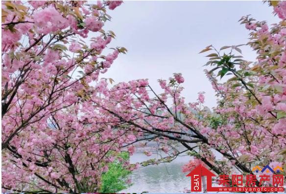 微信截图_20190410150538.png