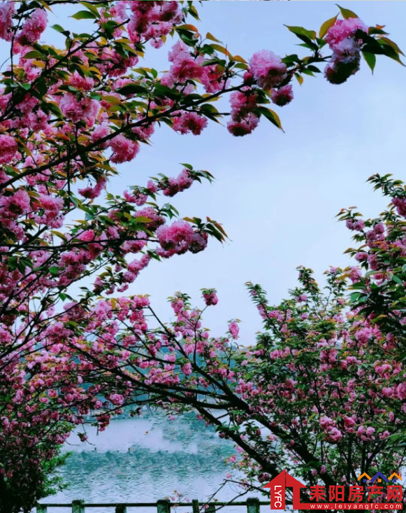 微信截图_20190410150548.png