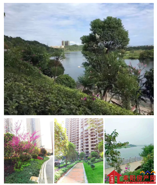 微信截图_20190523145015.png