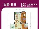 B户型