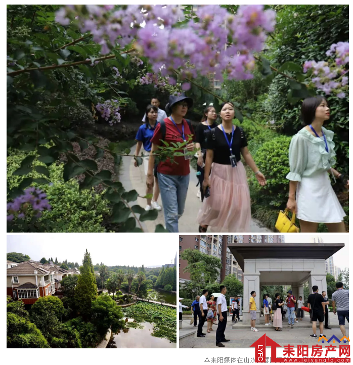 微信截图_20190812151512.png