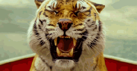 微信图片_20190909170840.gif