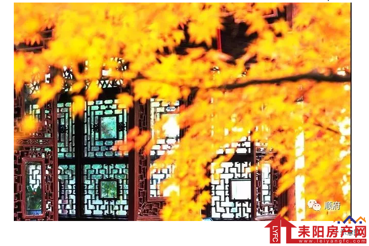 微信截图_20191101095923.png