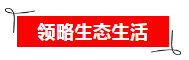 微信截图_20191109101637.png