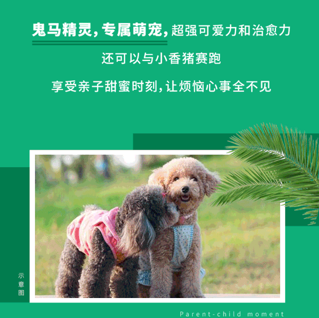 微信图片_20191118141400.gif