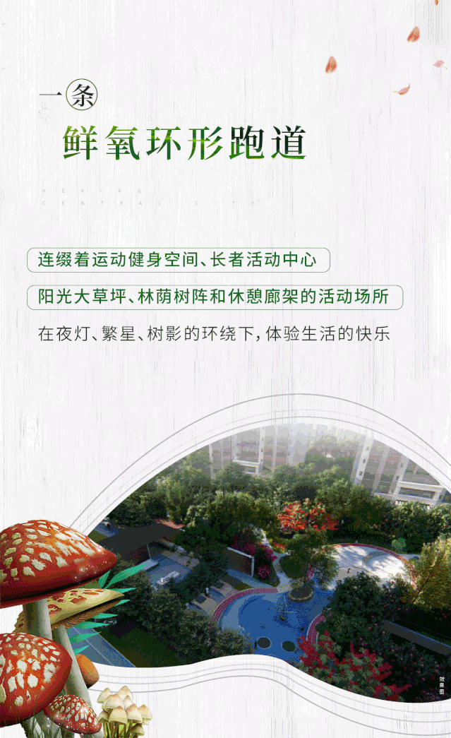 微信图片_20191121104549.gif