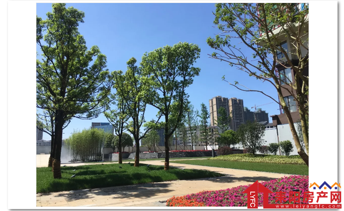 微信截图_20191121105038.png