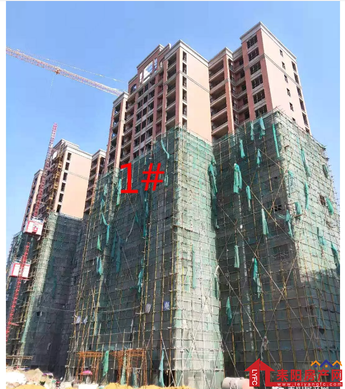 微信截图_20191123085254.png