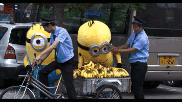 微信图片_20191207093201.gif