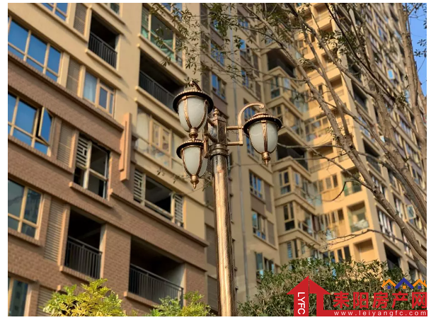 微信截图_20191210143711.png