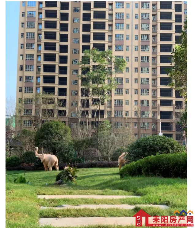 微信截图_20191210143729.png