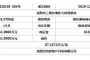 耒阳市出让土地成交结果公示 （网挂【2019】304号）