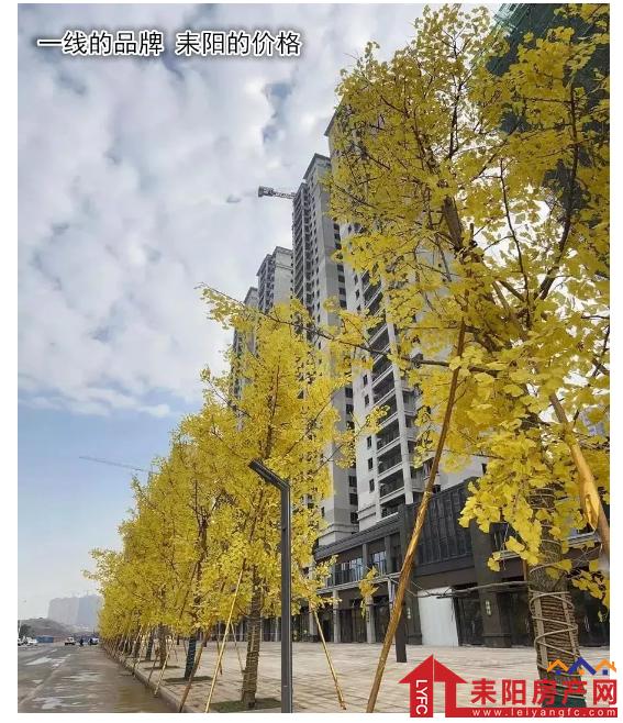 15161544f443d2d4d37483.png 微信截图_20200115160415.png