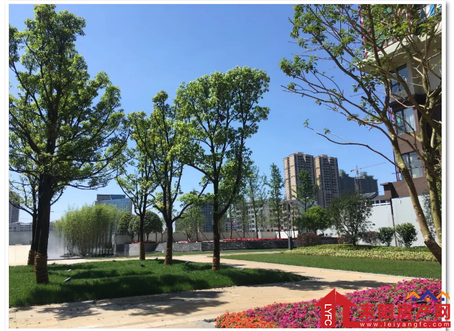 微信截图_20200227235625.png