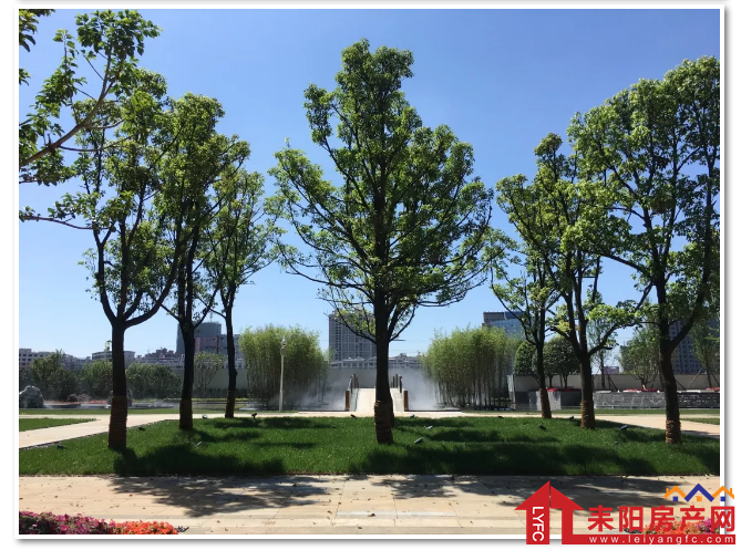 微信截图_20200227235638.png
