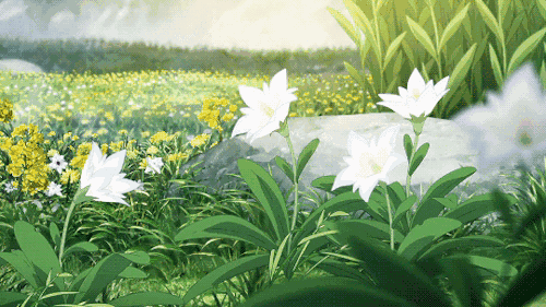 微信图片_20200421094513.gif