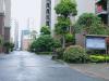 耒阳市马阜岭公园旁宜和家园 纯板楼一梯一户才3千多一平现房可按揭