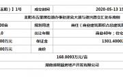 耒阳市出让土地成交结果公示（网挂【2020（耒阳）】1号 ）