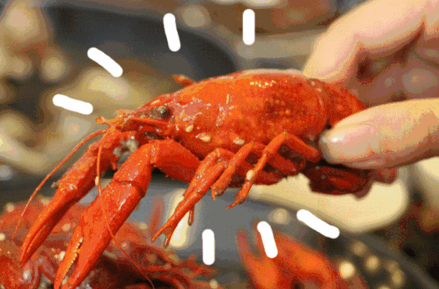 微信图片_20200623092226.gif
