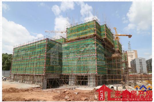 微信截图_20200630180258.png