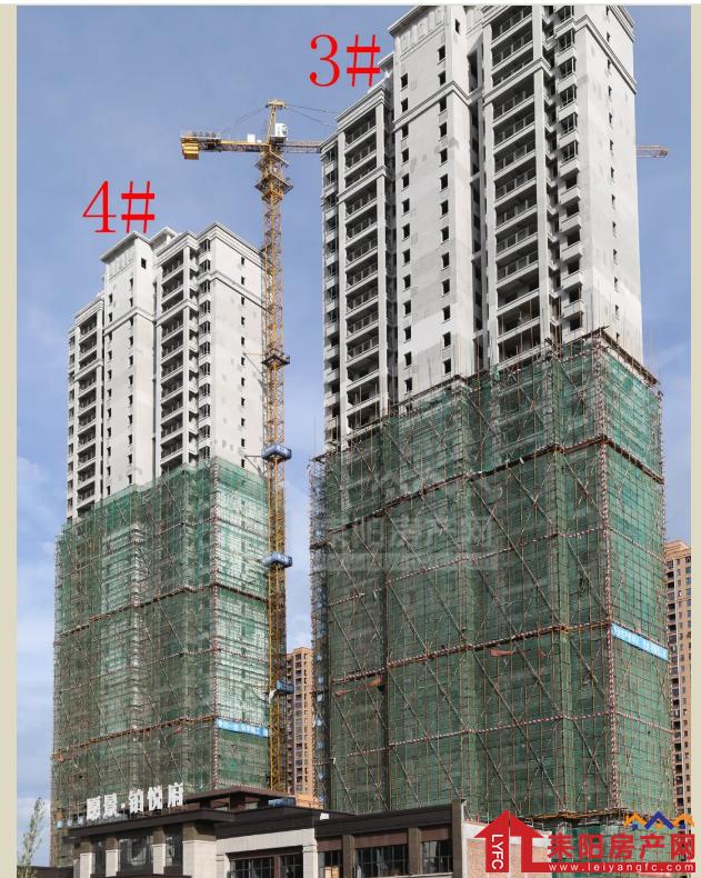微信截图_20200722085656.png