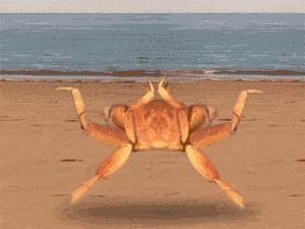 微信图片_20200930111520.gif