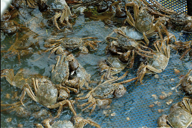 微信图片_20200930111604.gif