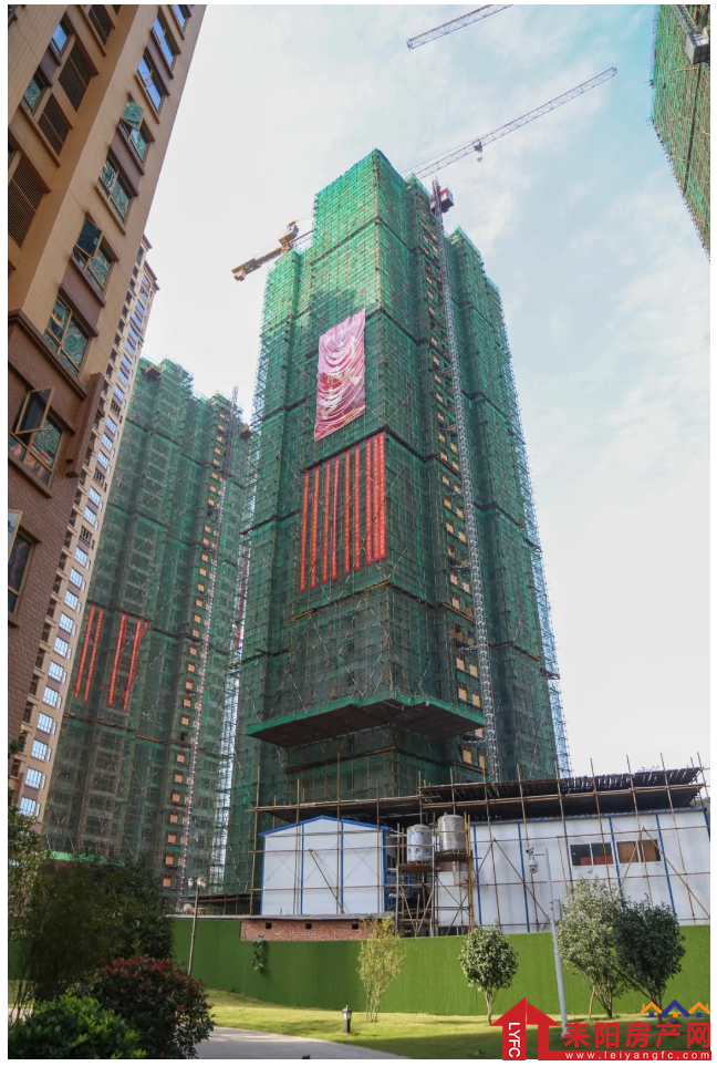 微信截图_20201109094017.png