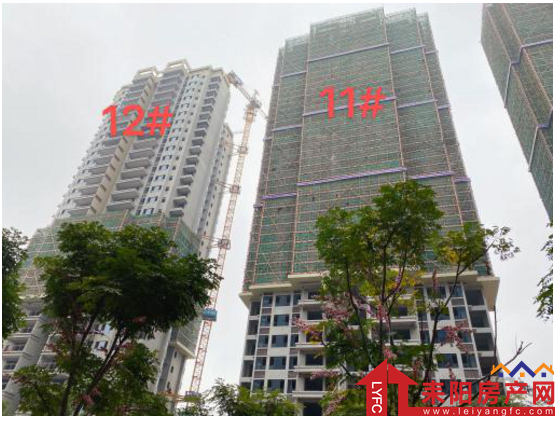微信截图_20201205152358.png