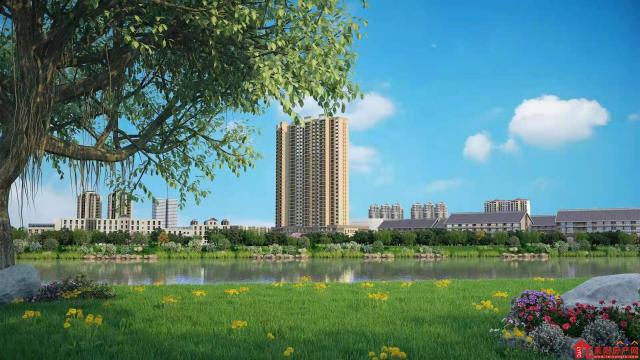 实景图