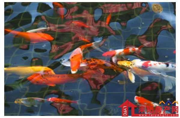 微信截图_20201231095219.png