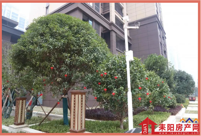 微信截图_20210104091714.png