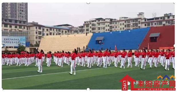 0215081945119a7fc93414.png image.png